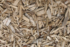 biomass boilers Ballinamallard